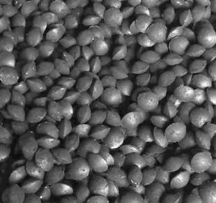 ���o��ճ�τ�